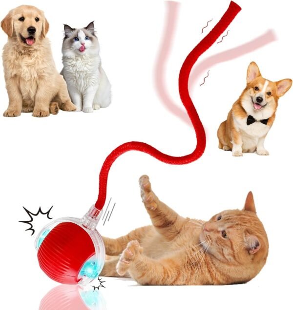 Interactive Electric Automatic Rolling Moving Rechargeable Self Play Stimulation Toy,Smart Pet Chase Ball with Speedy Tail Rope for Bored Indoor Cats Enrichment,stimulating Dogs Toy